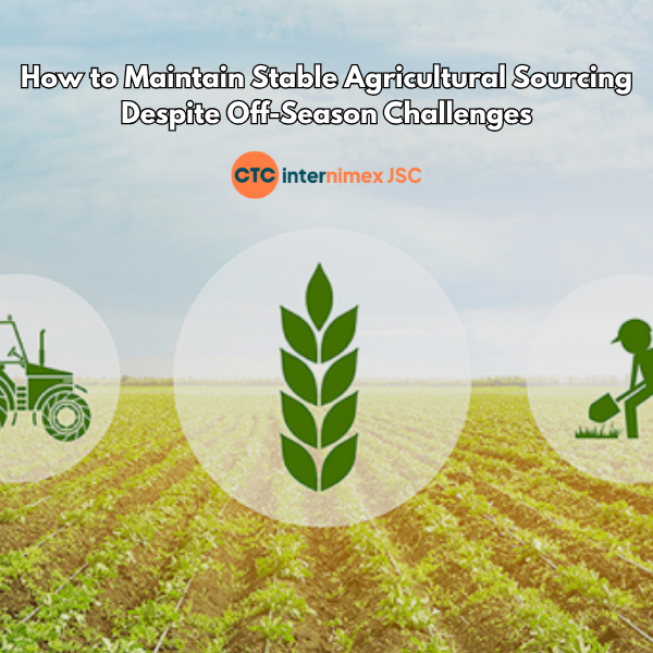 Beyond Seasonality: Building a Resilient Supply Chain with Vietnamese Agriculture