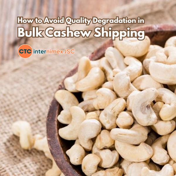 Bulk Cashew Nut Export: How to Avoid Quality Degradation During Long Transits