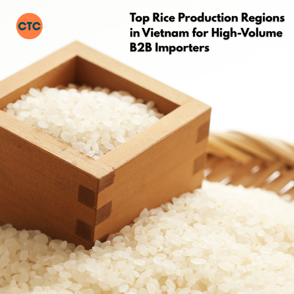 Data-Driven Sourcing: Inside Vietnam’s Mega Rice Production Zones for B2B Buyers