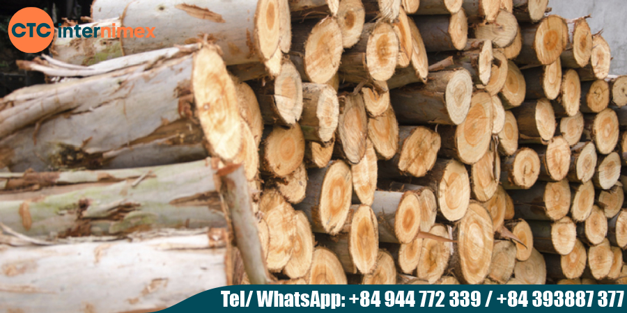 Eucalyptus-Firewood-How-to-Season-amp-Burn-for-Maximum-Heat_Eucalyptus Burn.jpg