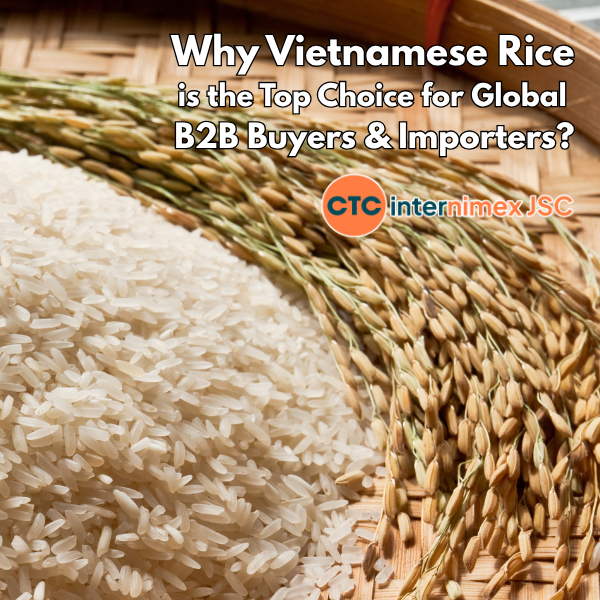 Global Sourcing Trends: Why Vietnamese Rice is Winning Over International B2B Importers