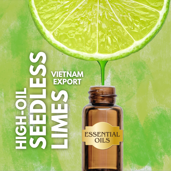 High-Oil Vietnamese Seedless Limes | Global B2B Export Guide