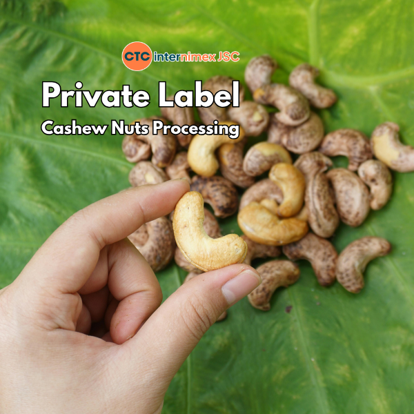 Mitigating Supply Risks: A B2B Guide to Sourcing Cashew Nuts from Vietnam