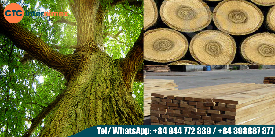 Oak-Hardwood-Firewood-Import-Premium-Quality-amp-Seasoned_Oak Hardwood Firewood.jpg