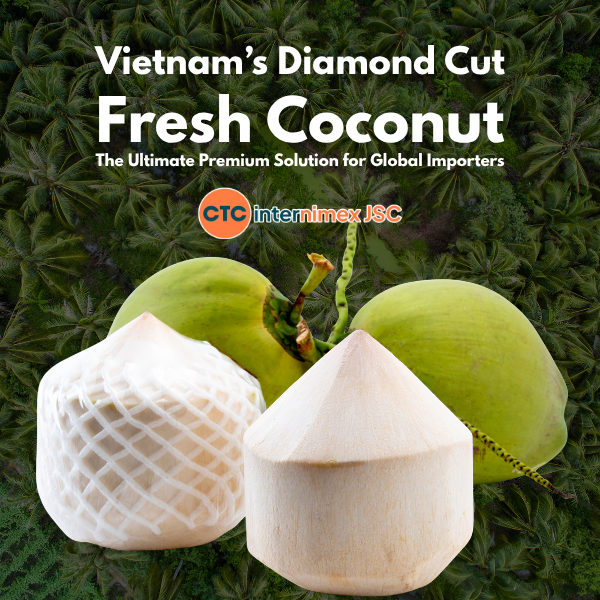 Premium Diamond Cut Fresh Coconuts from Vietnam: The Ultimate Global Import Solution