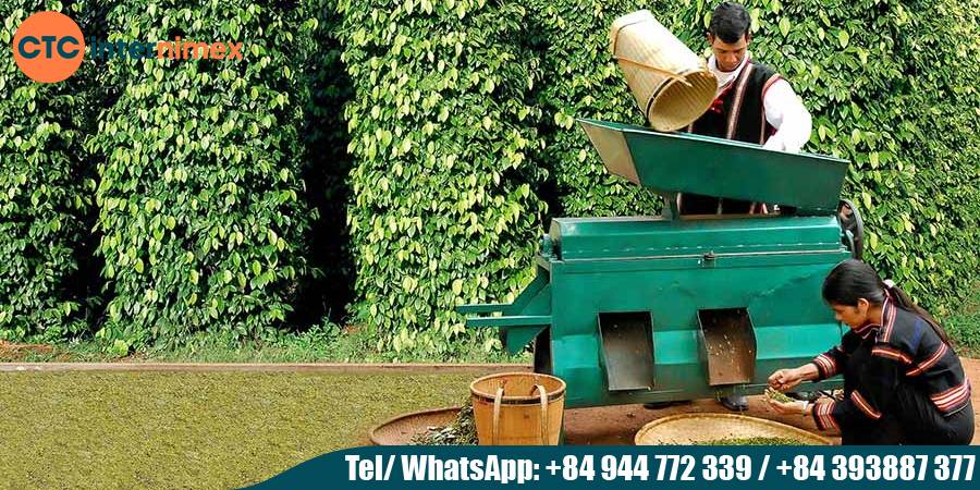 Premium-Vietnamese-Pepper-Export-CTC-Internimex_export pepper from Viet Nam-1.jpg