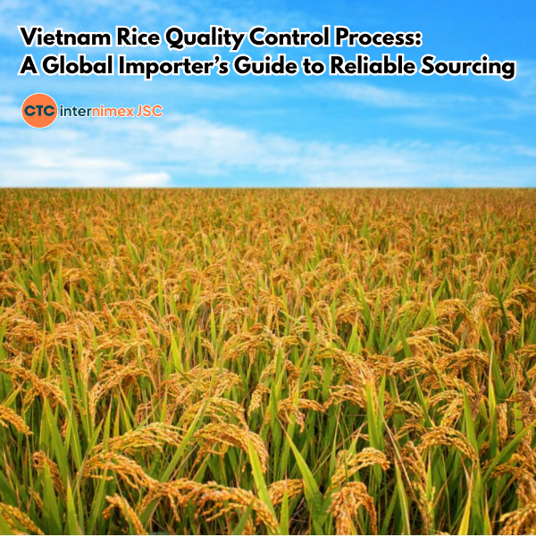 Risk Management in Rice Sourcing: The Essential Quality Control Standards for Vietnam Exports