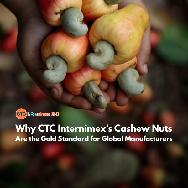 Risk Mitigation in Cashew Sourcing: How CTC Internimex Sets the Standard for Raw Material Excellence