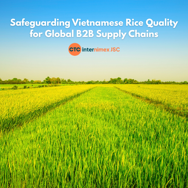 Risk Mitigation in Rice Sourcing: Why Arrival Quality Defines Your Bottom Line