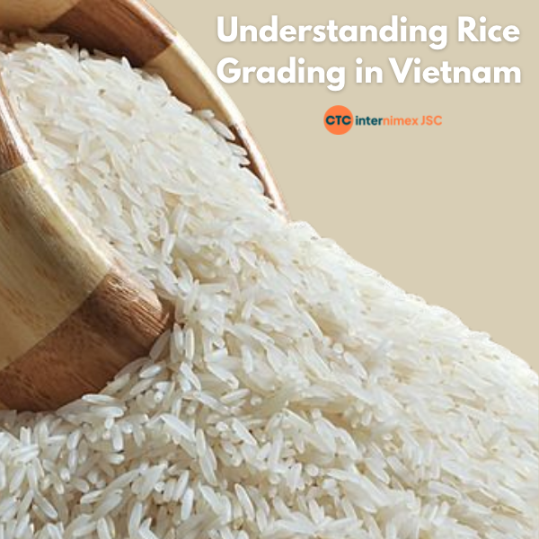 Scaling Your Food Production in 2026: A Technical Guide to Sourcing Certified Vietnam Rice