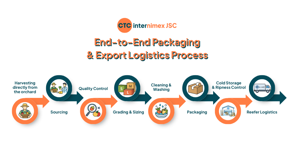 Seedless-Lime-Supplier-for-Dubai-Importers-Bulk-Export-1.png