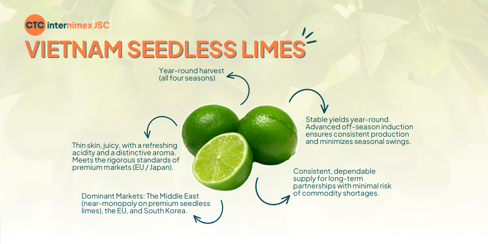 Seedless-Lime-Supplier-for-Dubai-Importers-Bulk-Export.png