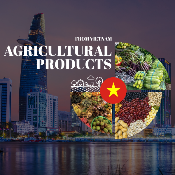 Sourcing Agriculture from Vietnam: 2026 B2B Import Checklist