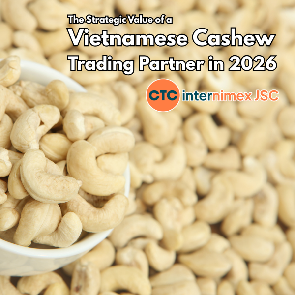 Sourcing Smart in 2026: The Strategic Advantage of Navigating the Global Cashew Supply Chain via Vietnam
