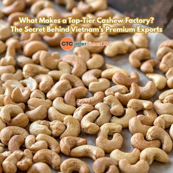 Strategic Cashew Sourcing: Why Global Manufacturers Partner with Vietnam’s Leading Export Traders