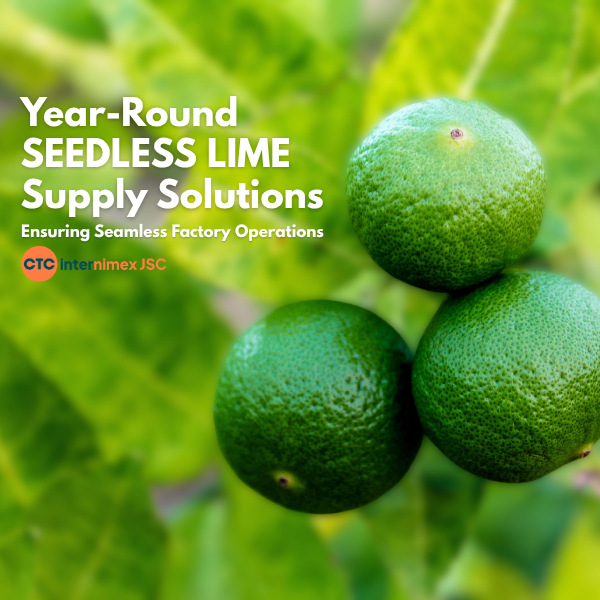 Strategic Seedless Lime Sourcing: A Reliable Supply Chain for Global B2B Partners