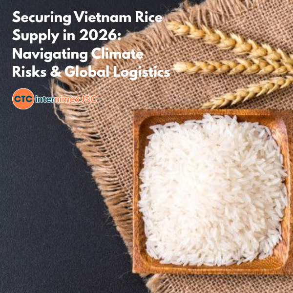 Strategic Sourcing: Navigating the 2026 Resilience Challenges in the Vietnam Rice Supply Chain