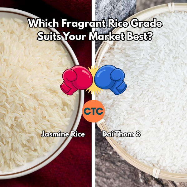 Strategic Sourcing: Navigating the Choice Between Jasmine Rice and Dai Thom 8 for Global Markets