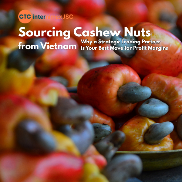 Strategic Sourcing: Why Professional Exporters are Redefining the Vietnam Cashew Trade