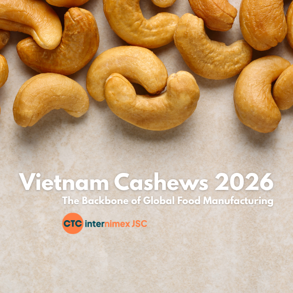 Strategic Sourcing: Why Vietnam Cashews are the Essential Ingredient for 2026 Food Innovation