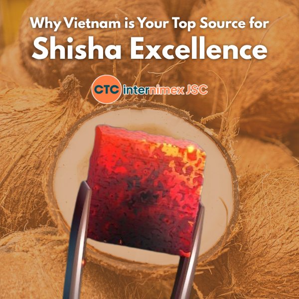 Strategic Sourcing: Why Vietnamese Coconut Shell Charcoal is the Game-Changer for Shisha Distributors