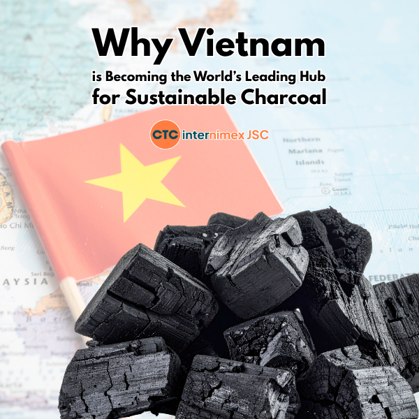 Sustainable Fuel Solutions: Why Global Importers are Turning to Vietnamese Charcoal