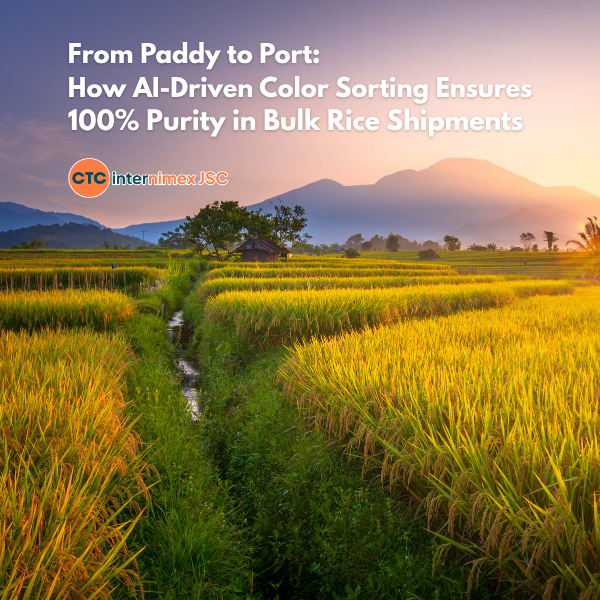 The Gold Standard of Purity: How AI-Driven Color Sorting is Transforming Bulk Rice Exports
