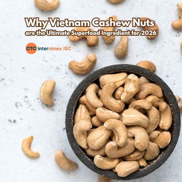 The Plant-Based Revolution: Why Vietnam Cashew Nuts are the Premier Ingredient for Global Food Innovators