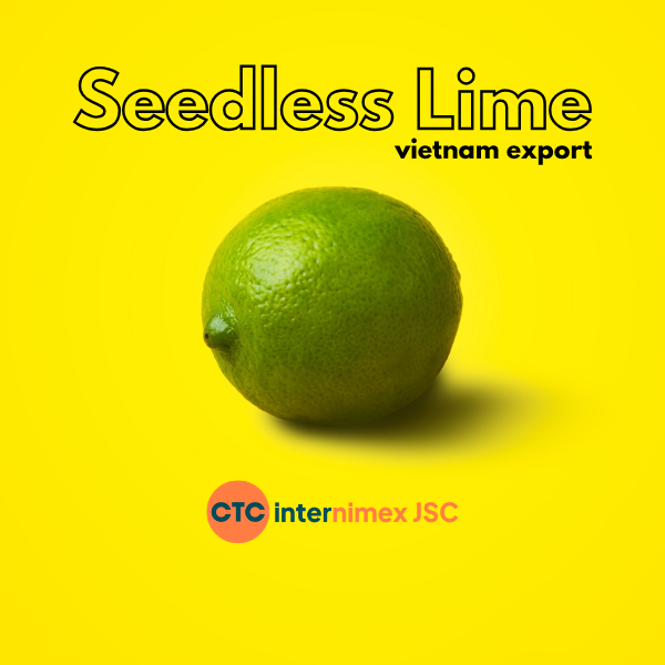 The Science of Seedless Lime Export: How to Guarantee 45-Day Freshness