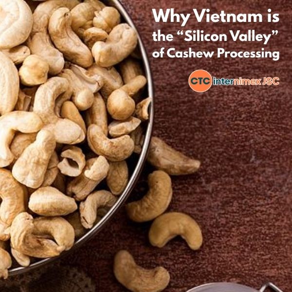 The Strategic Blueprint: Why Vietnam Cashew Nuts Dominate Global Bulk Procurement