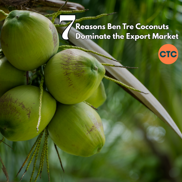 Top 7 Reasons to Source Ben Tre Green Xiêm Coconuts for Global Export