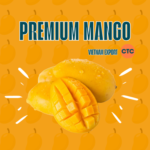 Top Vietnamese Mango Supplier | Bulk Export & Wholesale 2026