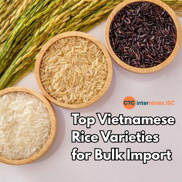 Trends in Bulk Rice Sourcing from Vietnam: Key Export Varieties for B2B Buyers