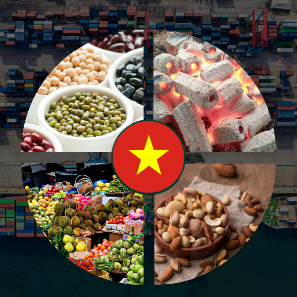 Vietnam Agriculture Sourcing Guide: Why Bulk Importers are Switching