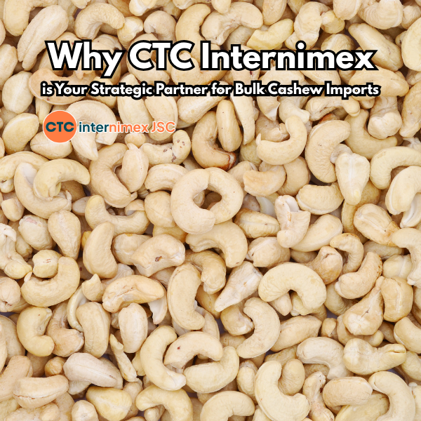 Vietnam Cashew Export 2026: Navigating Adulteration Risks in Bulk Procurement