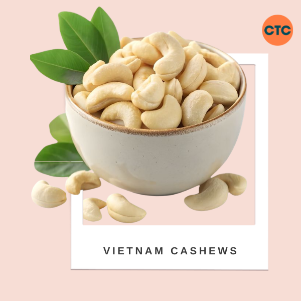 Vietnam Cashews: AFI Standards & Bulk Import Guide