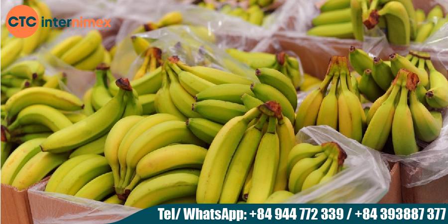 Vietnamese-Bananas-A-Sweet-amp-Sustainable-Supply-for-International-Importers_Bannana export from Viet Nam.jpg