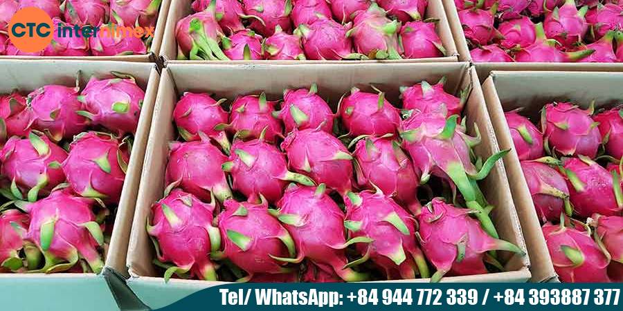 Vietnamese-Dragon-Fruit-Tropical-Queen_dragon fruit export Viet Nam (1).jpg