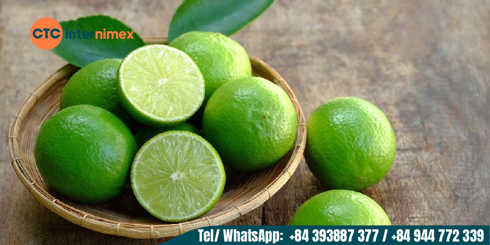Vietnamese-Seedless-Lime-Bulk-Import-Best-Price_lime export from Viet Nam (2).jpg