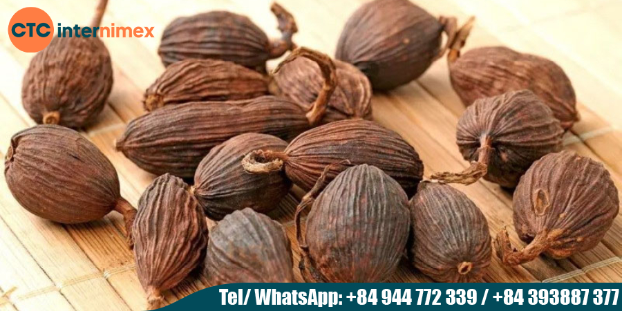 Vietnamese-Spices-Cardamom-amp-Star-Anise-A-Global-Culinary-Journey_thảo quả việt nam.jpg