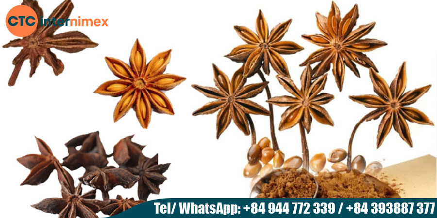 Vietnamese-Spices-Cinnamon-amp-Star-Anise-Exports_hoa hồi từ việt nam.jpg