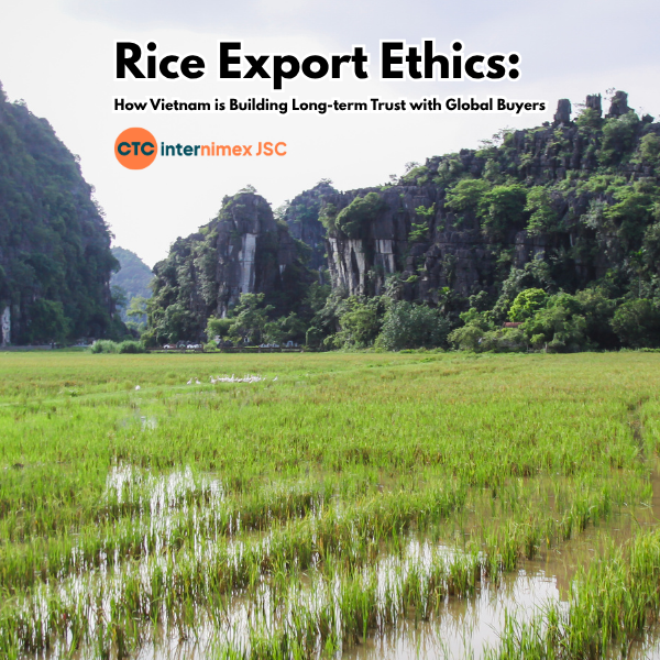 Why Strategic Partnership is the Key to Sourcing High-Quality Rice from Vietnam