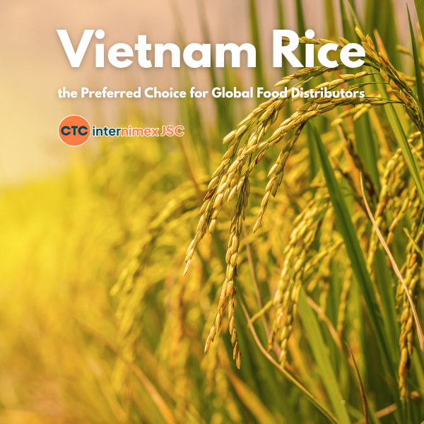 Why Vietnam is the Ultimate Hub for Sustainable Bulk Rice Sourcing and Global Compliance