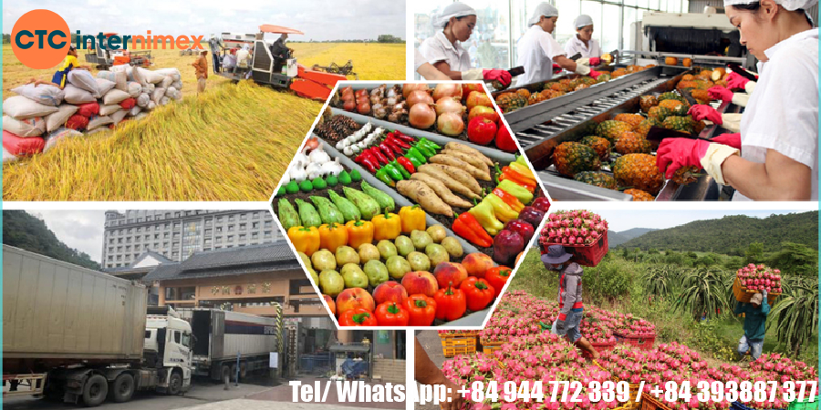 Why-Vietnamese-Agricultural-Products-Are-The-Smart-Choice-For-Your-Business-_export agricultural viet nam.jpg