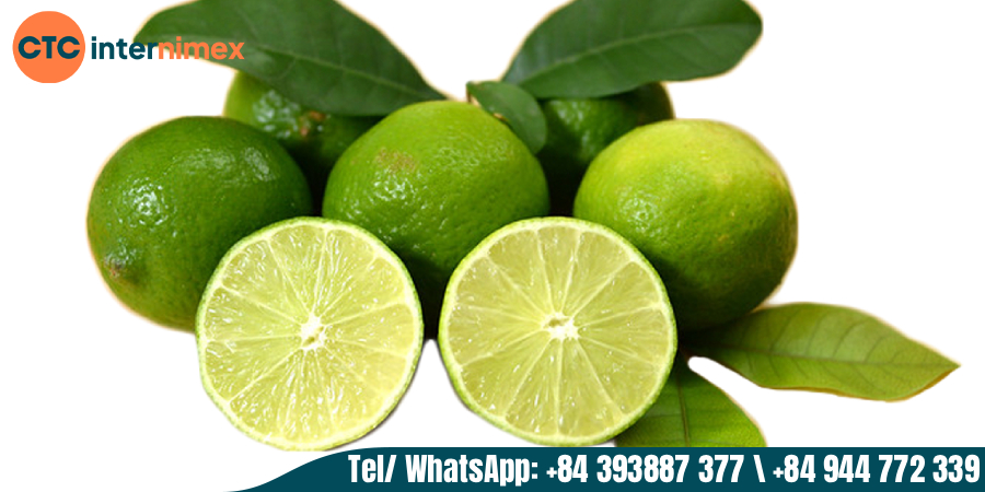 Why-Vietnamese-Seedless-Limes-are-the-Ultimate-Diet-Superfood-_seedless lime export from Vietnam (1).jpg
