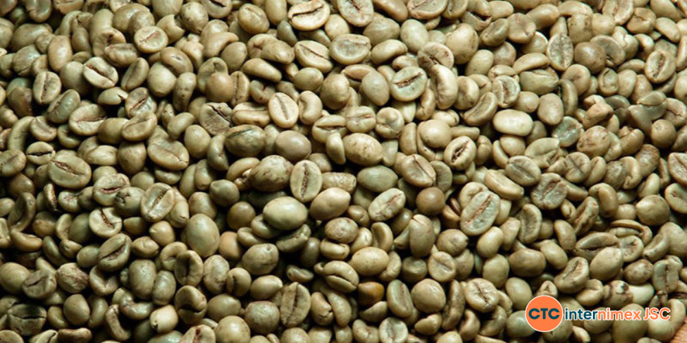 2026-Vietnam-Harvest-Calendar-Bulk-Sourcing-for-Importers-2.png