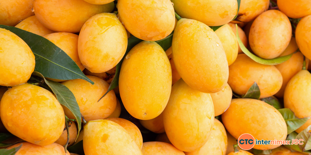 2026-Vietnam-Harvest-Calendar-Bulk-Sourcing-for-Importers-3.png