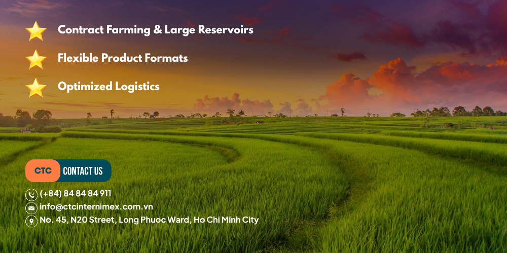 Beyond-Seasonality-Building-a-Resilient-Supply-Chain-with-Vietnamese-Agriculture-2.png