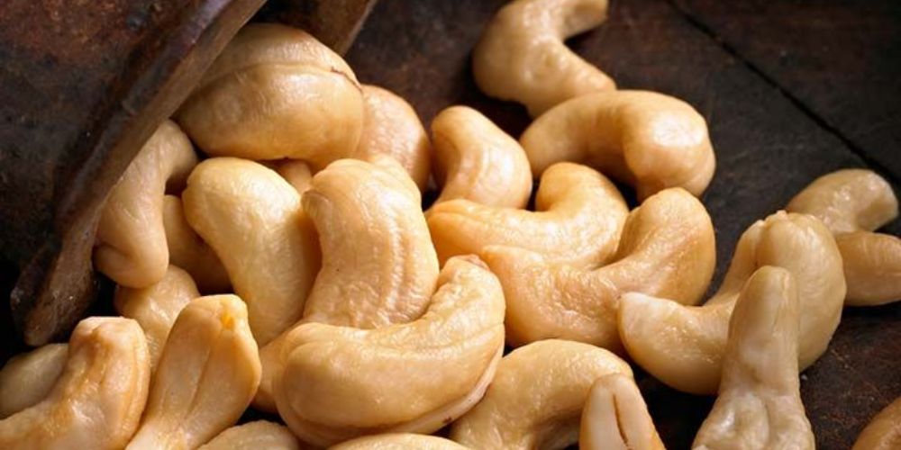 Bulk-Cashew-Nut-Export-How-to-Avoid-Quality-Degradation-During-Long-Transits-1.png