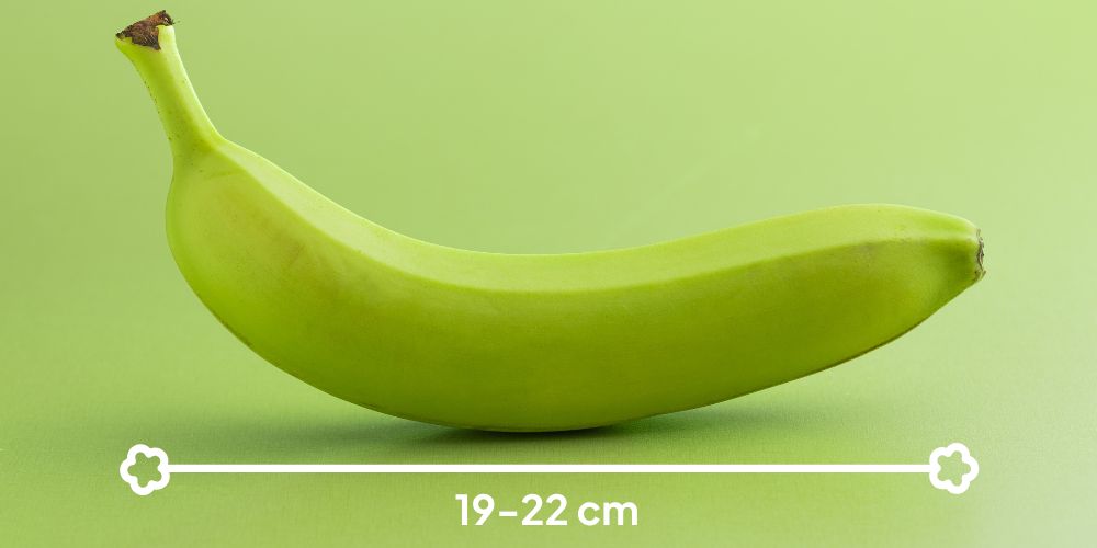 Cavendish-Banana-Sourcing-Vietnam-40-Day-Shelf-Life-Solutions-2.png